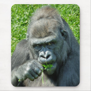 GORILLAS MOUSEPAD