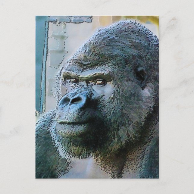 GORILLAS POSTKARTE (Vorderseite)