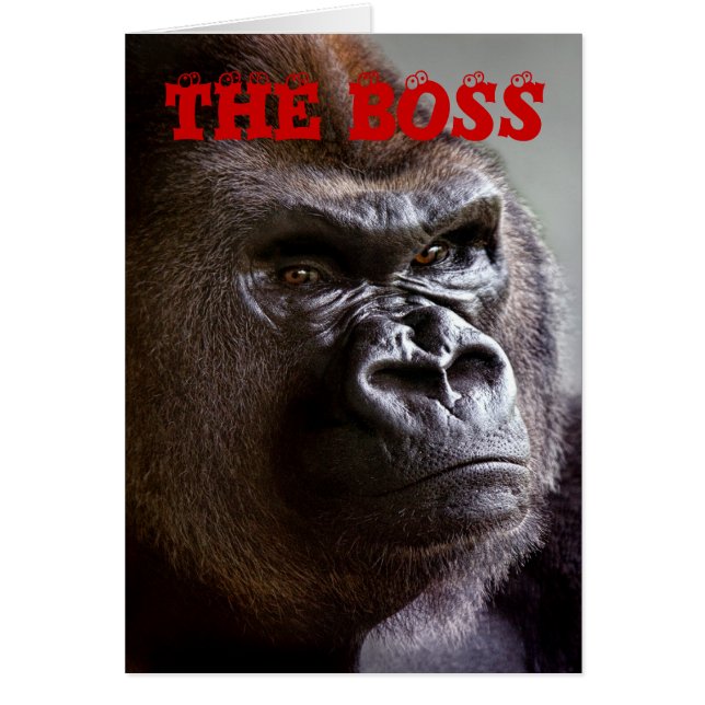 GorillaSilverback der Chef beherrscht Tageskarte (Vorne)