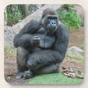 Gorille au zoo dessous de verre en plastique dur
