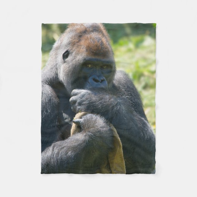 Gorille D'Argent Et Sa Couverture (Devant)