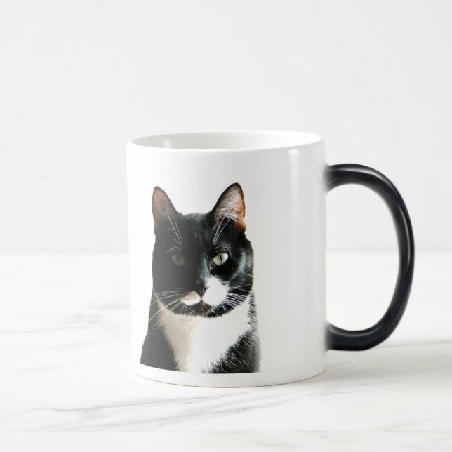 Görn-Katzestare-verwandelnde Tasse (Rechts)