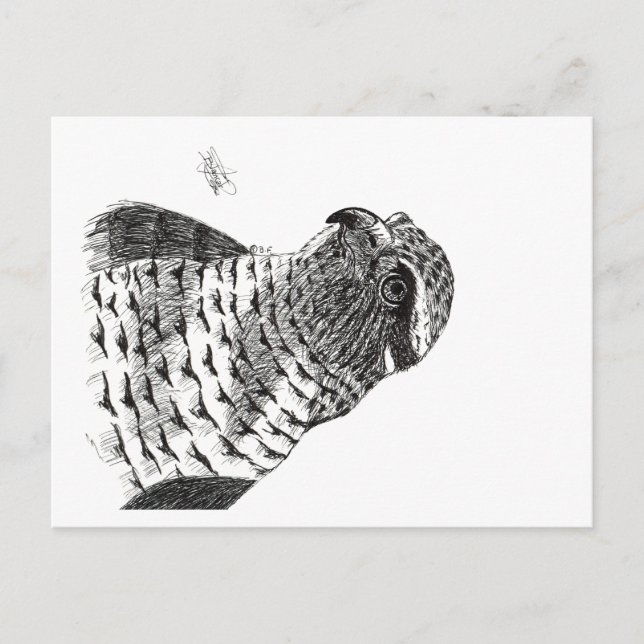 GOSHAWK POSTKARTE (Vorderseite)