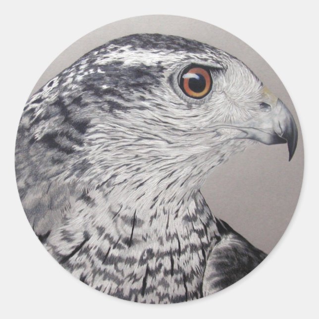 Goshawk Stickers (Vorderseite)