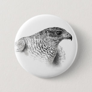 Goshawk Zeichnend Button