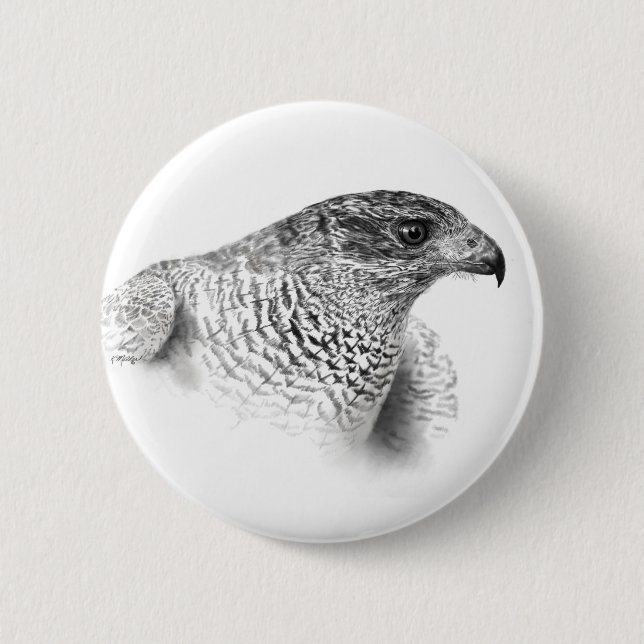 Goshawk Zeichnend Button (Vorderseite)