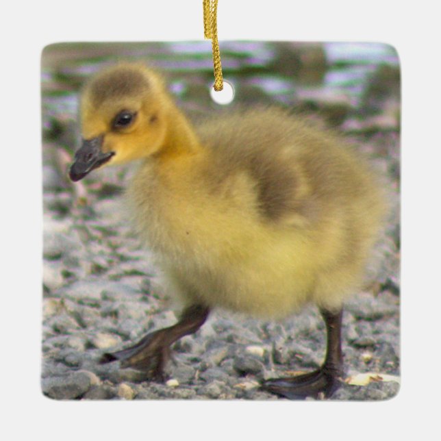 Gosling Foto Ornament (Vorderseite)