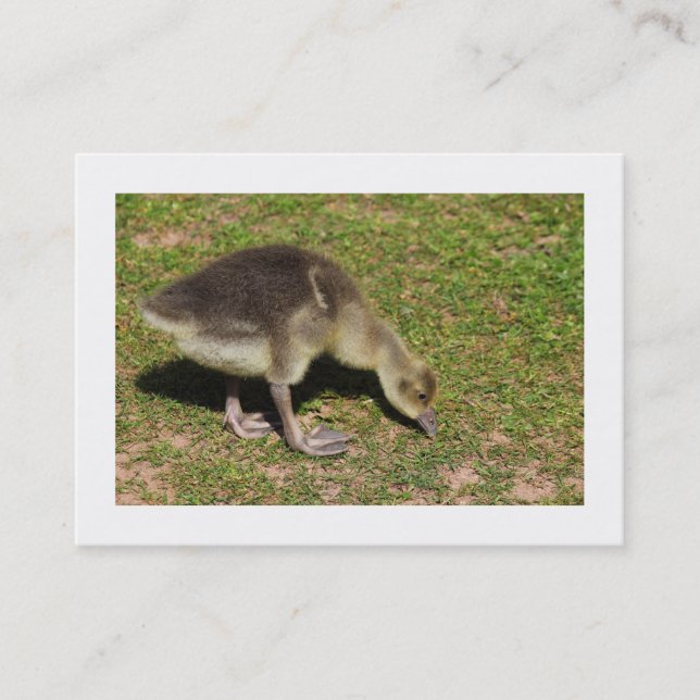 Gosling (grenzt) visitenkarte (Vorderseite)
