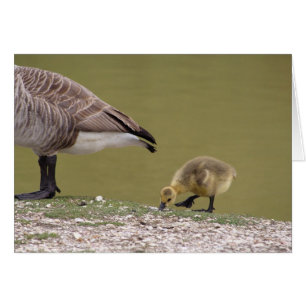 Gosling-Karte
