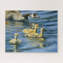 "Gosling Round-Up"