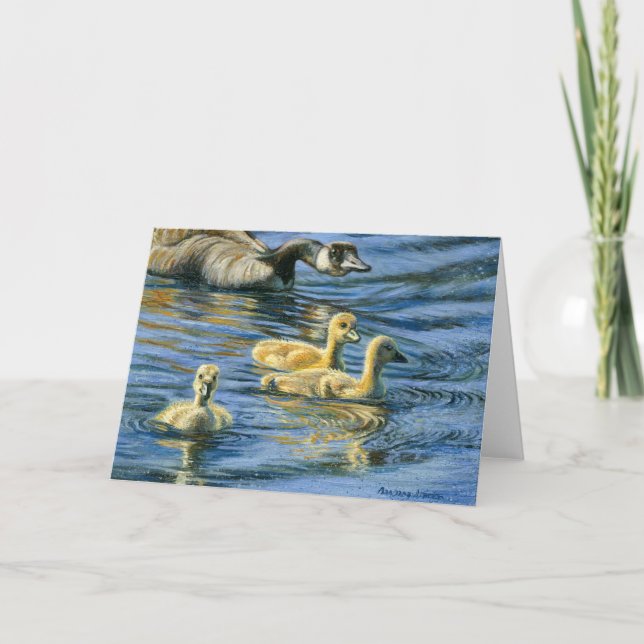 "Gosling Round-Up" Karte (Vorderseite)