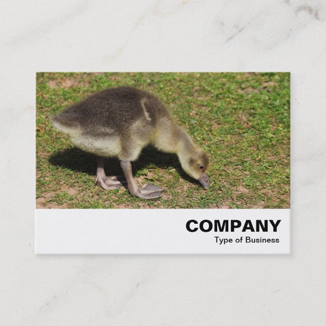 Gosling Visitenkarte (Vorderseite)