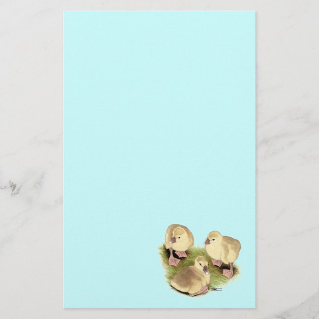 Goslings: Buff African Briefpapier (Vorderseite)