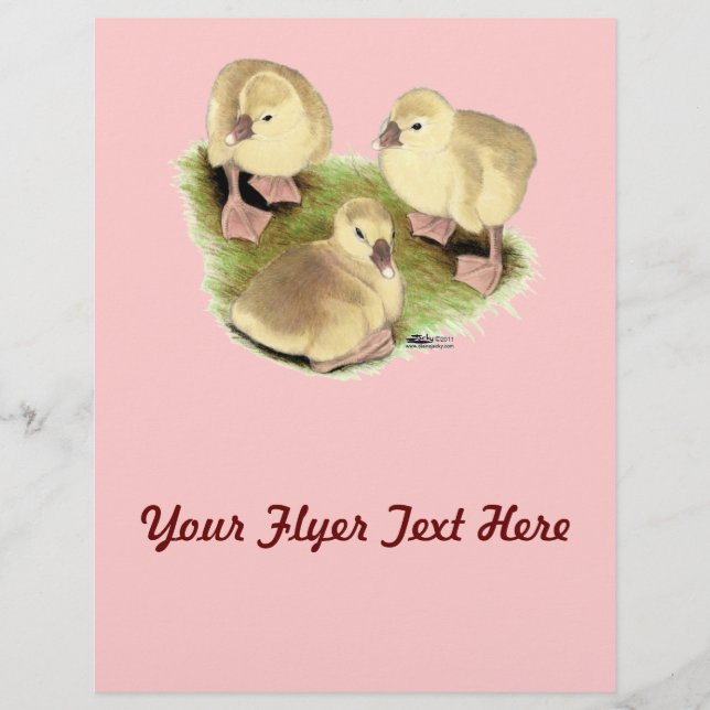 Goslings: Buff African Flyer (Vorne)