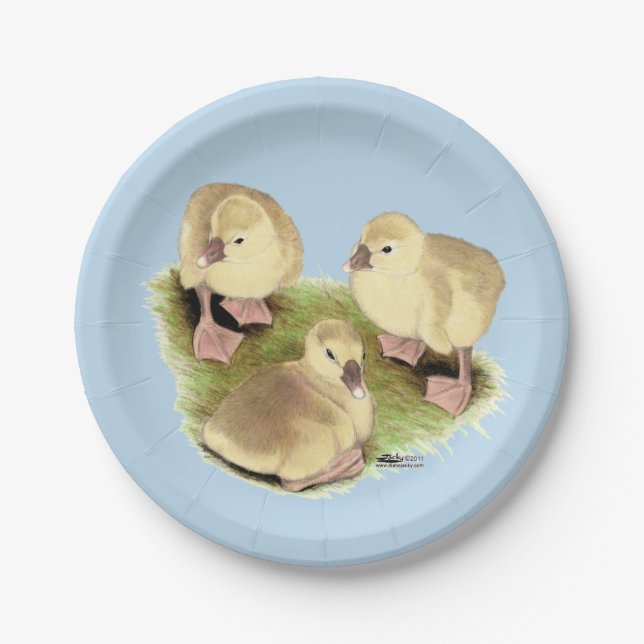 Goslings: Buff African Pappteller (Vorderseite)