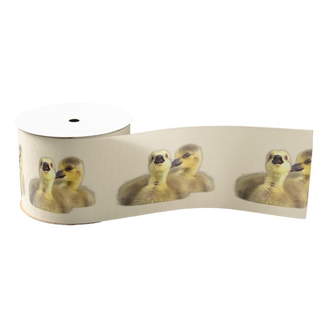 Goslings Foto Ribbon Ripsband (Von Creator hochgeladen)