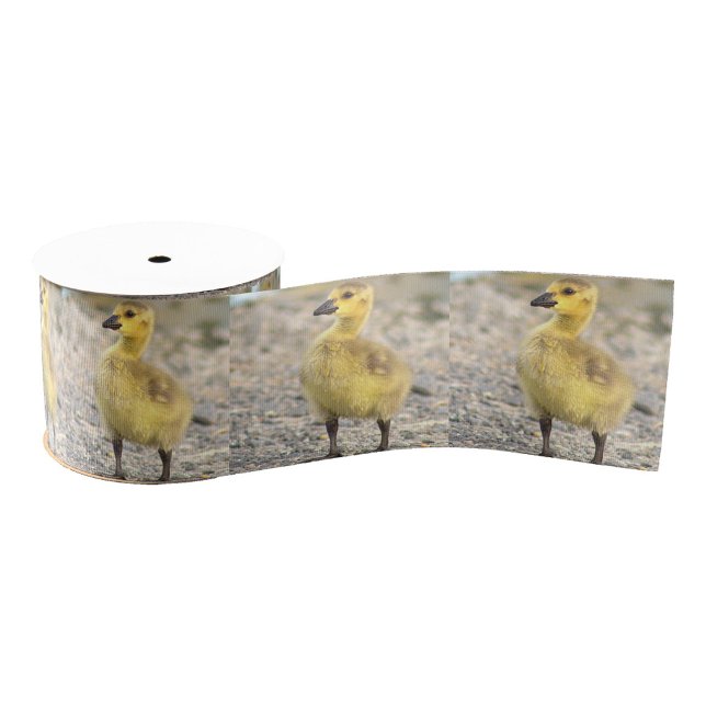 Goslings Foto Ribbon Ripsband (Von Creator hochgeladen)