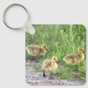 Goslings Foto Schlüsselanhänger