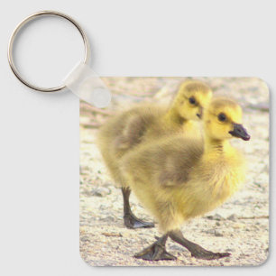 Goslings Foto Schlüsselanhänger