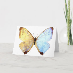 Gossamer Blue Butterfly Wings Note Carte d'anniver