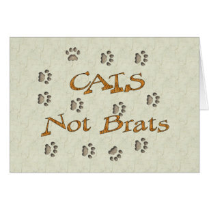 Gosses de chats pas