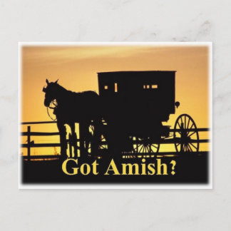 Got Amish? Postkarte
