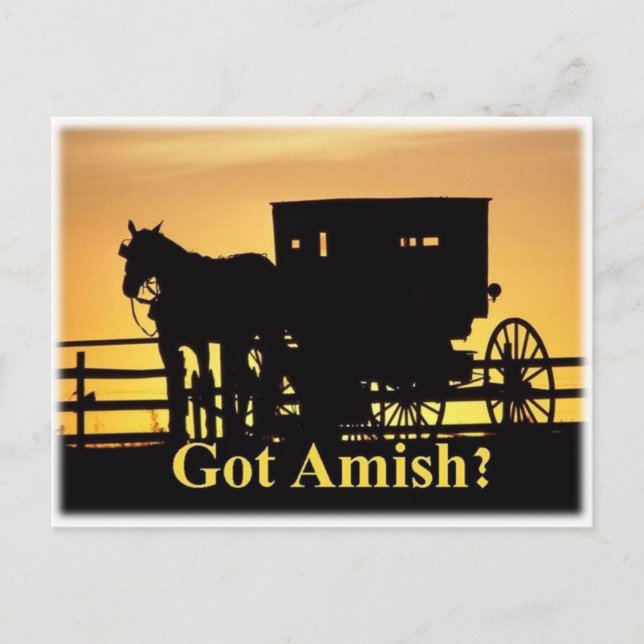 Got Amish? Postkarte (Vorderseite)