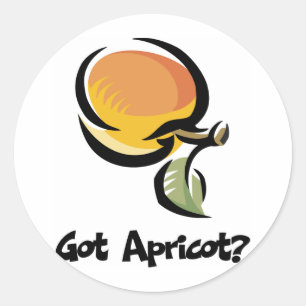 Got Apricot Runder Aufkleber