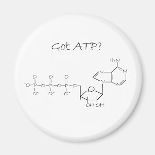 Got ATP? Magnet