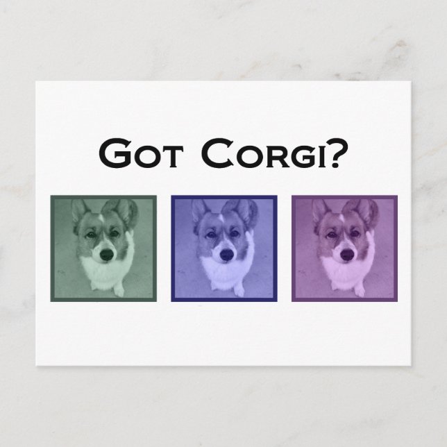 Got Corgi? Funny Corgis Art Fotograf Postkarte (Vorderseite)