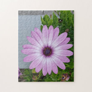 Got dir Zeit beim Blume-Puzzle