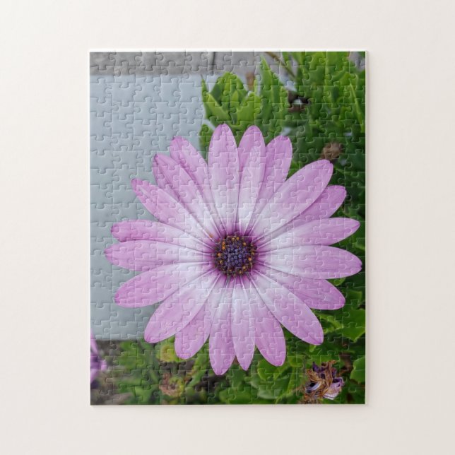 Got dir Zeit beim Blume-Puzzle (Vertikal)
