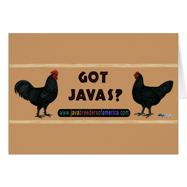 Got Javas? (Vorderseite (Horizontal))