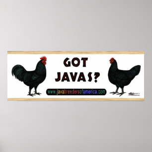 Got Javas? Poster