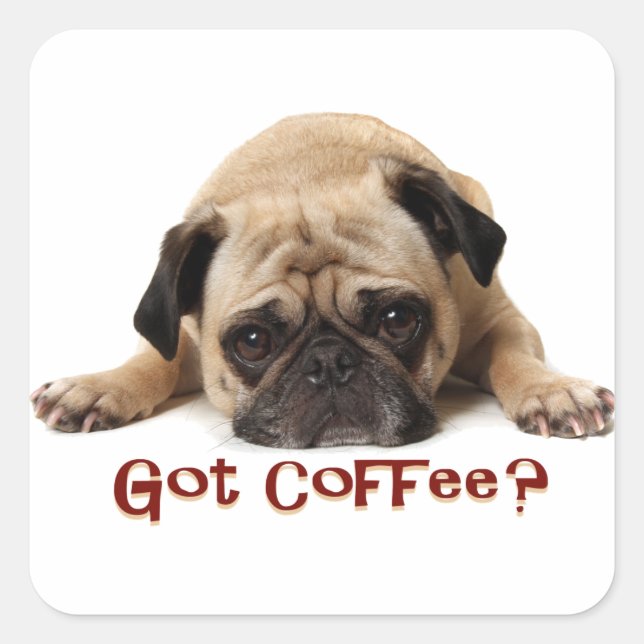 Got Kaffee? Mops-Aufkleber Quadratischer Aufkleber (Vorderseite)
