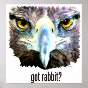 Got Kaninchen? Poster