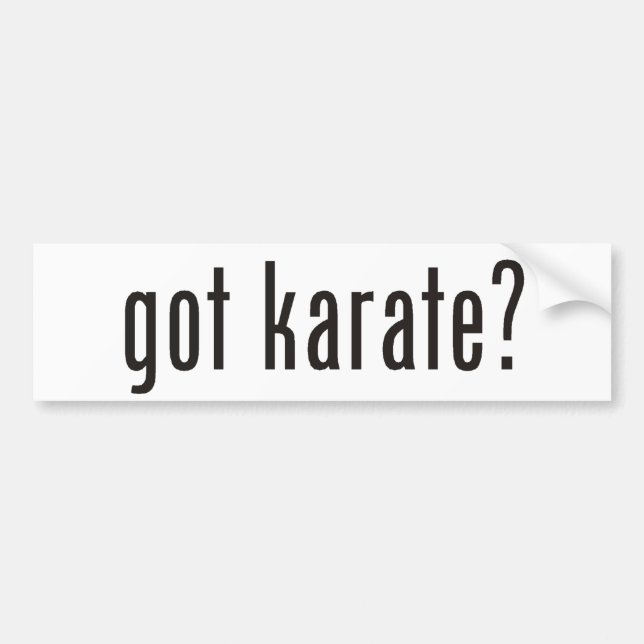 got Karate? Autoaufkleber (Vorne)