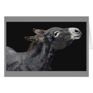 "Got Karotten?" - Donkey-Karte