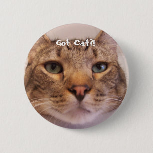 Got Katze Button