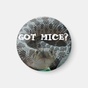 Got Mäuse? Hognose Magnet