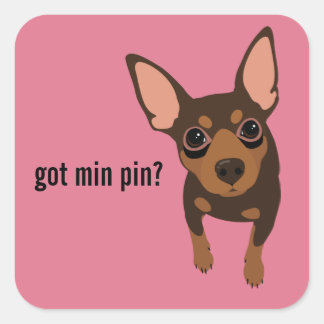 Got Min Button Miniature Pinscher (Schokolade) Auf Quadratischer Aufkleber