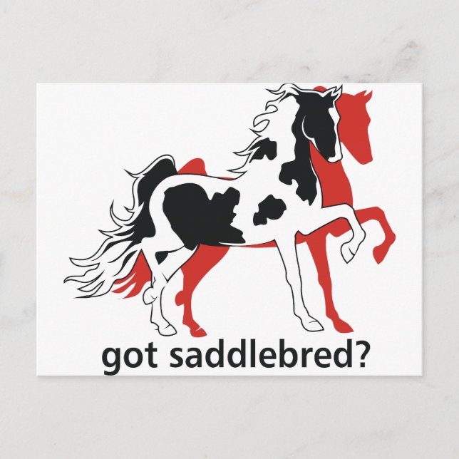 Got Saddlebred? Postkarte (Vorderseite)