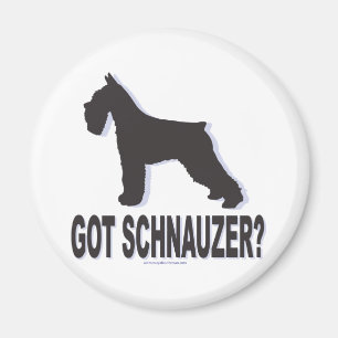 Got Schnauzer? Magnet