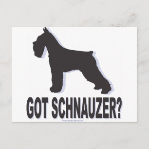 Got Schnauzer? Postkarte