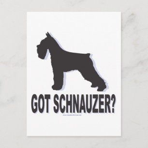 Got Schnauzer? Postkarte