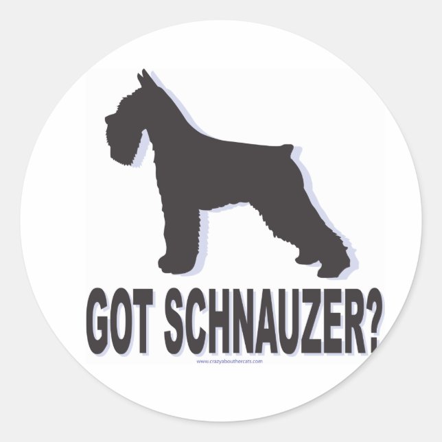Got Schnauzer? Runder Aufkleber (Vorderseite)