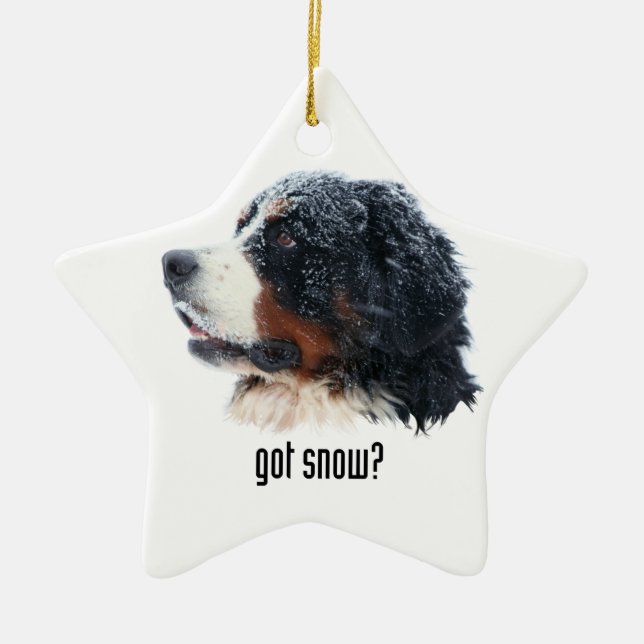 got Schnee? Bernese Gebirgshund Keramikornament (Vorne)