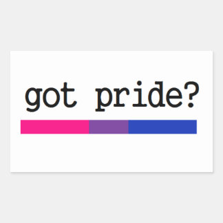 Got Stolz? Bi-Prix-Aufkleber für Bisexual Rechteckiger Aufkleber