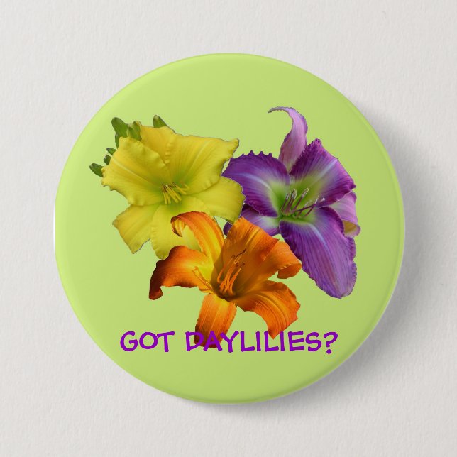 GOT TAGLILIEN? KNOPF BUTTON (Vorderseite)
