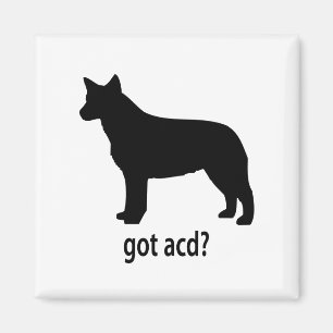 Got Vieh-Hund Magnet